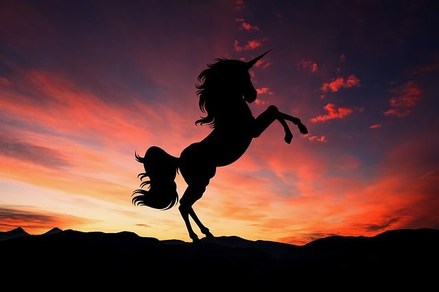A unicorn in the desert – a pretty good analogy for mining recruitment in a skills shortage.