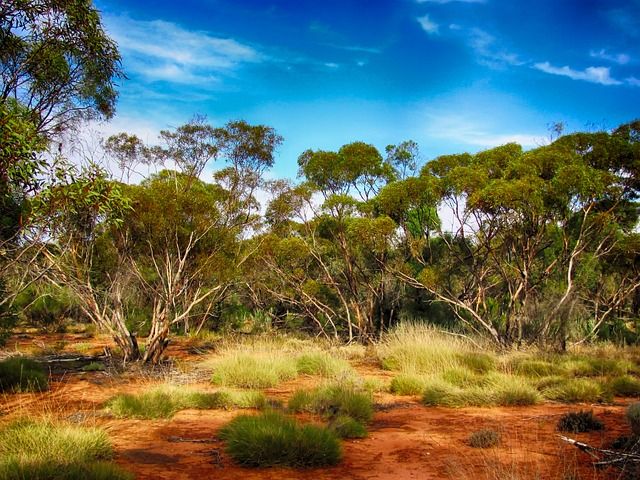 outback-kalgoorlie