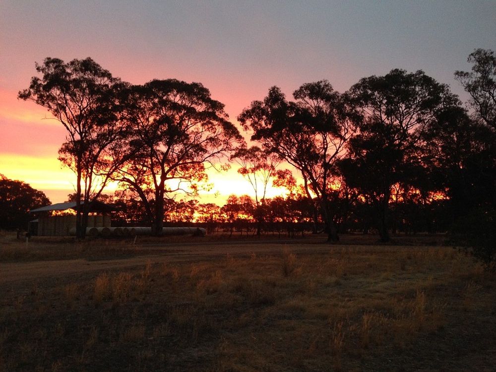 Sunset in the Australian outback