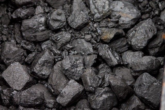 Coal