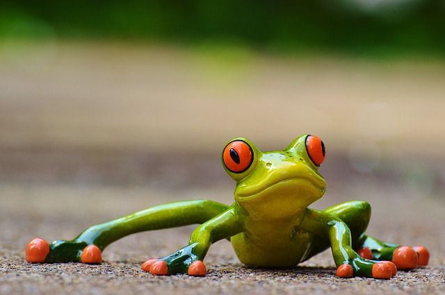 Green frog