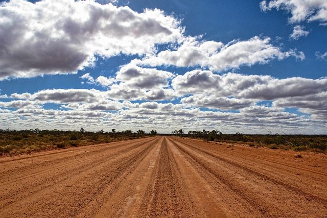 Picture of bush road