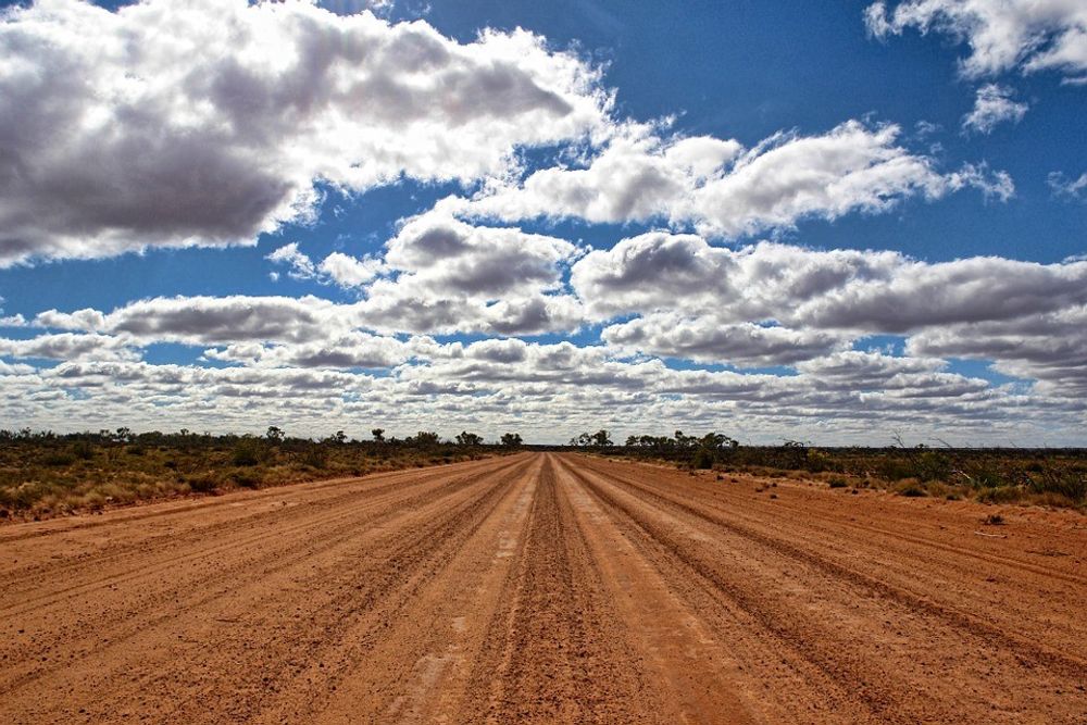 Picture of bush road