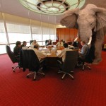 Elephant in the boardroom