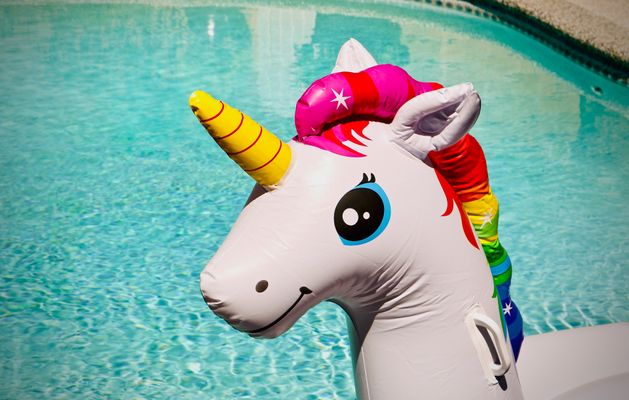 A unicorn in the desert – a pretty good analogy for mining recruitment in a skills shortage.