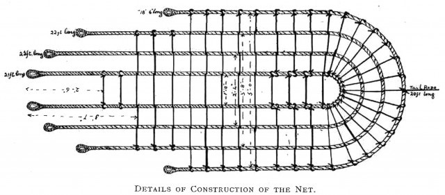 Please enter an image description.