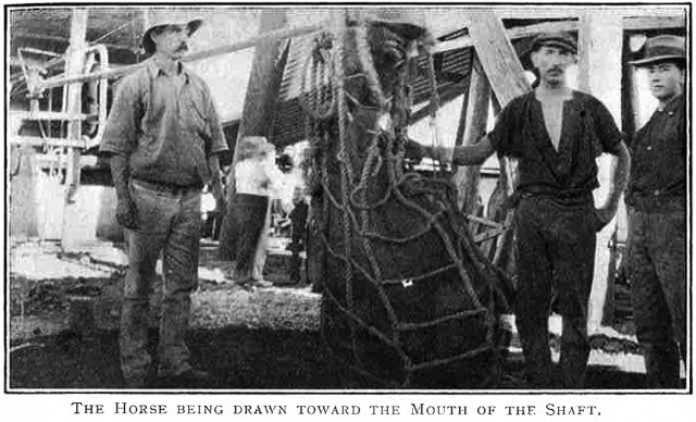 Please enter an image description.