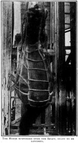 Please enter an image description.