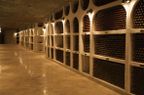 Mine to wine 