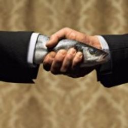 Wet Fish Hand Shake