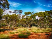 outback-kalgoorlie