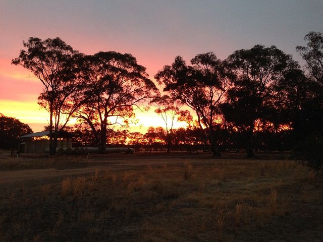 Sunset in the Australian outback